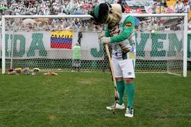 1197 3d models found related to chapecoense stadium. Chapecoense Tragedy Brings Harmony To Brazil S Fractured Football Nation Bleacher Report Latest News Videos And Highlights