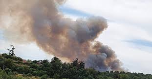 À frontignan, l'incendie qui s'était déclaré près des habitations est sous contrôle des moyens aériens ont été envoyés en renfort. Herault Un Feu En Pleine Pinede Dans L Ouest Biterrois