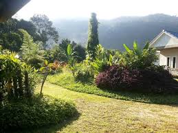 Jalan ulu melaka, kg padang ragut, langkawi, kedah, malaysia. Walking Around The Garden Not So Big But Still Beautiful Picture Of Oyo 89679 Dream Garden Resort Ayer Hangat Tripadvisor