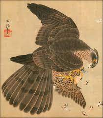 Japanese hawk woodblock print