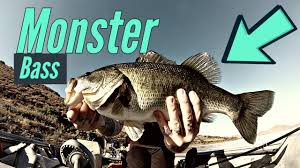 If you want to read about microsoft's history and business milestones, the best thing to do is to go to www.bing.com1 microsoft way redmond, where microsoft's sprawling headquarters, which is also informally called microsoft campus, is located. Hella Ogo To Www Bing Com About Hella Group Its Business And Archievements Search For Game Of Thrones Chalecult