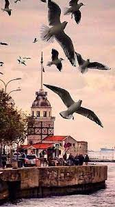bazen bir isime sigmazsin manzara manzara resimleri istanbul