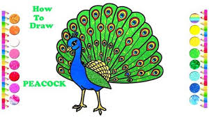 How To Draw A Peacock Easy Peacock Drawing And Coloring Pages Peacock Drawing Easy Drawings Drawing Videos For Kids The latest tutorial over there is: peacock drawing easy drawings