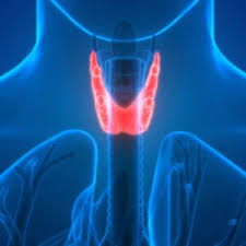 Symptoms can include swelling or a lump in the neck. Thyroid Cancer Virginia Oncology