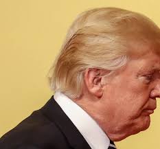 I drew this sketch today with a new Trump quote from a few days ago. It's  important that Trump do as much as he can before the 2026 to help the  standard