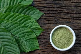 kratom strains 101 the great effects of different strains