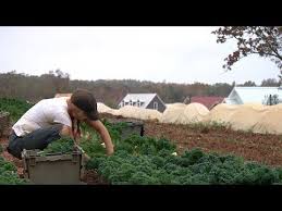 Homes Sprouting Up Around Farms Farm From Farm To Table Farm Life