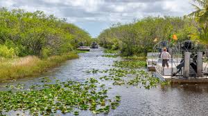 Discovering The Best Everglades Tour For Your Next Florida Vacation See reviews and photos of tours in everglades city, florida on tripadvisor. discovering the best everglades tour