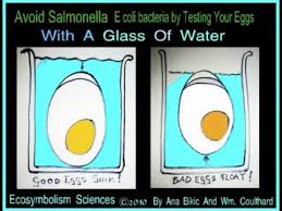 How long do eggs last? How To Know If Eggs Are Good Egg Test Egg Scare 2010 Salmonella And E Coli News Egg Recall Youtube