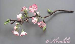 Cherry Blossom Cakes Cherry Blossom Cake Cherry Blossom Branch Cherry Blossom Wedding Cake