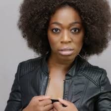 Fallout: Revelation (TV Series 2016– )