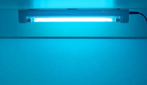 How To Use Uv Light To Detect Bed Bugs Bed Bugs Insider