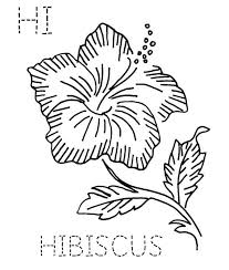 You can use markers (buy the kind that don't bleed through. H Is Fro Hibiscus Flower Coloring Page Color Luna