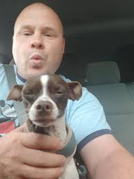 Farmington Dog Rescue Efforts and Support