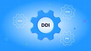 DDI Solution: A Comprehensive Guide - IPXO