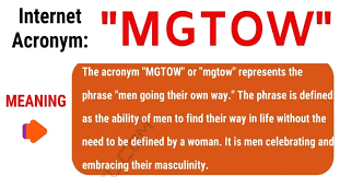 Mgtow Meaning What Does Mgtow Stand For With Conversations 7 E S L In 2020 Meant To Be Learn English Vocabulary English Vocabulary
