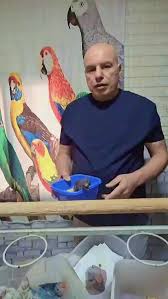 تعرّف على أحياء الناصرة والقدس