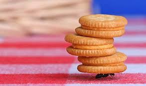 The Truth About Hard Work And Entrepreneurial Success Sujanpatel Ants Work Hard Food Art