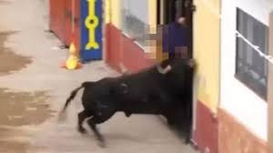 Man gored to death at Spanish bull running festival as he tried to hide in  doorway - The Mirror