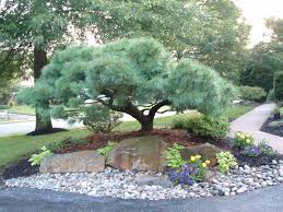 Selective Pruning Services King Of Prussia Pa Prune My Secret Garden Secret Garden