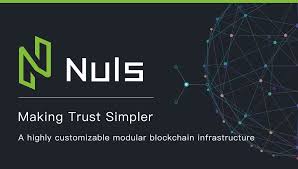 Nuls, The Crypto That Is Still Under The Radar, But Has All The ...