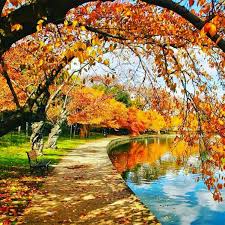 Profile for Nancy Rhine