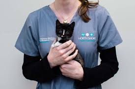 All cat owners know cats are independent creatures and do not require a lot of your time. North Shore Veterinary Hospital Crows Nest Artarmon St Leonards