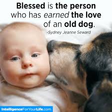 Happy National Dog Day! God bless these furry family members! Happy Monday  and have a great week!