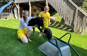 Tierärztin aus Geiersthal ist mit Beauceron Rix bei TV-Show „Top Dog  Germany“ dabei