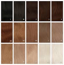 49 Qualified Hair Extension Color Number Chart