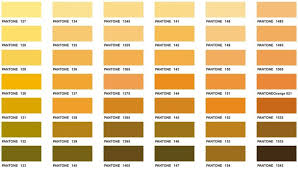 Pantone Matching System Color Chart 02 Executive Apparel