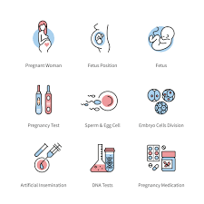 Tratamientos Para La Fertilidad Un Mundo De Posibilidades