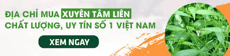 Xuyên tâm liên là một trong những dược liệu có chứa các thành phần kháng sinh hỗ trợ điều trị nhiều bệnh lý. Eurn6srv7sbyhm