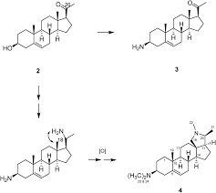 Image result for Dictyophleba lucida