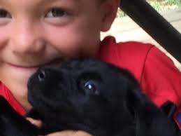 Update-Annabelle is home!!! There have been more sightings this morning if  anyone is able to continue to look for Annabelle. She is close 🙏