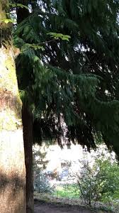 Facebook'ta haus sonneneck'in daha fazla içeriğini gör. Sonneneck Psychosomatische Fachklinik Startseite Facebook