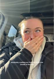 Thomas Kinkade Village Christmas