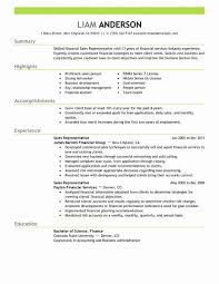 Innovative financial executive with a diverse. Sales Representative Job Description Resume New Resume Description For Sales Representatives In 2021 Sales Resume Resume Examples Sales Resume Examples