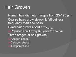 Find vectors of black hair. Stages Of Hair Growth Hair As A Chemical