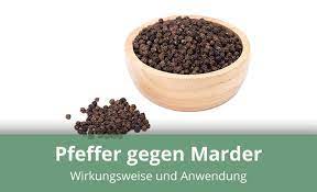 Gegen die beißwut der kleinen vierbeiner gibt es aber effektive tricks und haus mittel. Ist Pfeffer Gegen Marder Als Hausmittel Geeignet Alles Wissenswerte