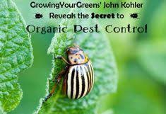 Read over your contract and any small details or fine print so that you fully understand about the services on offer. Gga Pest Management Ggapestmanagement Profile Pinterest