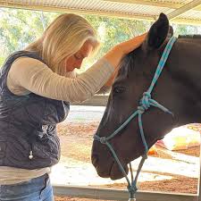 Find Your Local Representative