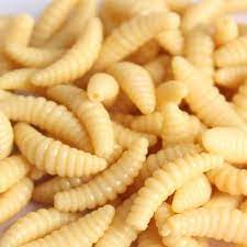 Some of my research over the past seven years has been aimed at developing a reliable monitoring or trapping system for this fly. Amazon Com Fake Maggots 50pcs 2cm 0 3g Maggot Grub Soft Lure Baits Smell Worms Glow Shrimps Fishing Lures Maggots Fishing Bait Yellow Sports Outdoors
