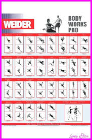 Weider Ultimate Body Works Workout Guide Pdf