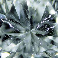 Check spelling or type a new query. Diamond Inclusion Types Taylor Hart