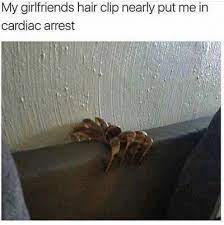 My Girlfriends Hair Clip Nearly Put Me In Cardiac Arrest Meme Ahseeit