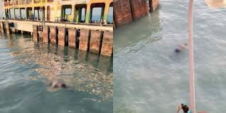 Kes terjun jambatan pulau pinang 1. Mayat Lelaki Terjun Jambatan Pulau Pinang Ditemui