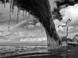 Beautiful Black And White Pictures Of Nature Beautiful Black And White Nature Photography Web Design Ledger Nature Photography Photography Inspiration Nature White Photography