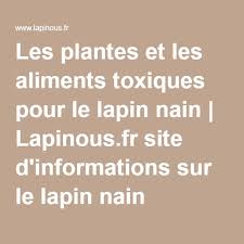 Les Plantes Et Les Aliments Toxiques Pour Le Lapin Nain Lapin Nain Lapin Nain