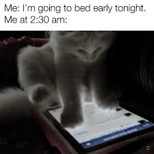 We find the funny cats that make you lol so that you don't have to. Sat Memes To Celebrate Internationalcatday Steemit